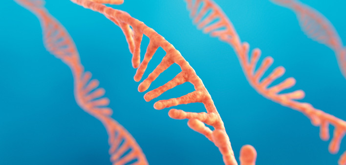 illustration 3D dna strand