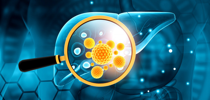 liver, virus, hepatitis B, hepatitis C Human liver