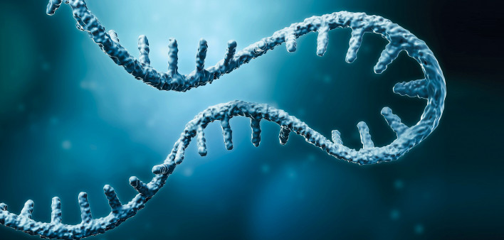 Messenger RNA or mRNA strand 3D rendering illustration