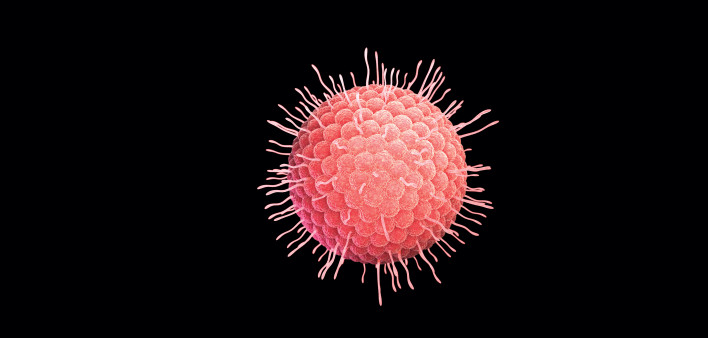 varicella-zoster virus