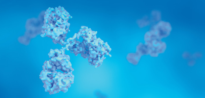 Antibodies, Immunoglobulin Ig proteins