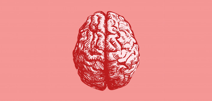 Brain