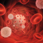 illustrarion of blood cells