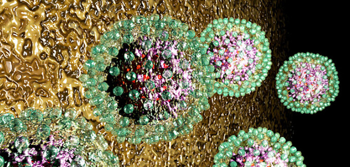 hepatitis B, HBV