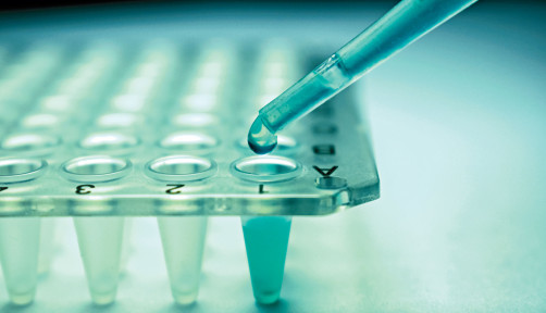 Stem Cell Research Pipette