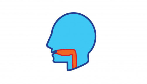 illustration of head and throat
