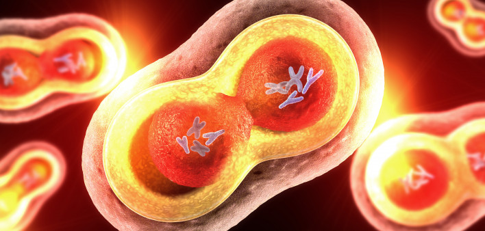 Dividing cells on colorful background
