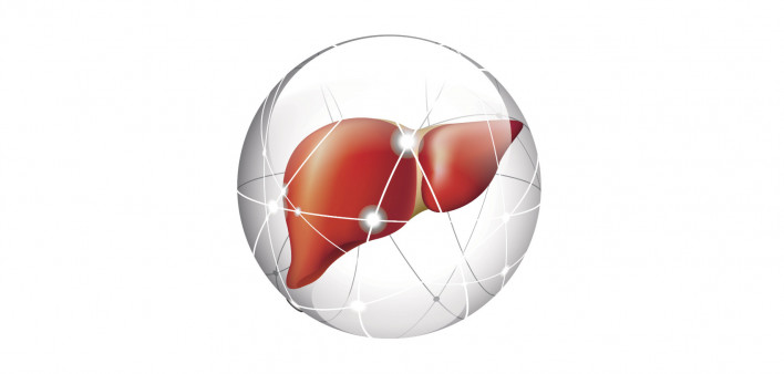 liver, liver cancer