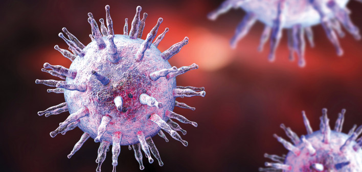 Epstein-Barr virus illustration