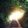 stairs on path in woods leading up to a sunlit opening