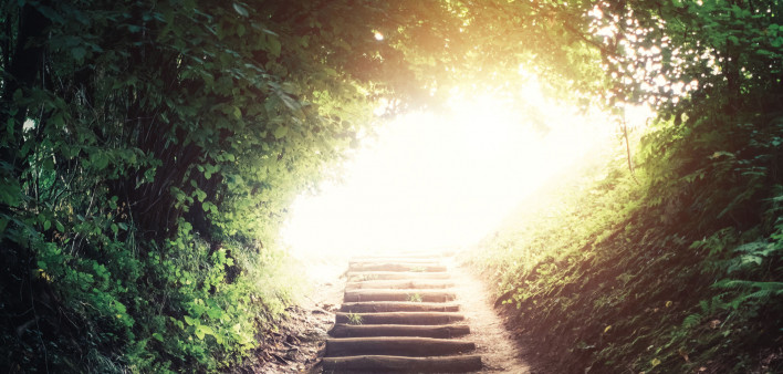 stairs on path in woods leading up to a sunlit opening