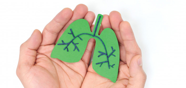 hands holding model of lungs illustration