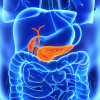 Pancreas and gall bladder