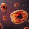 illustration monkey pox virus mpox