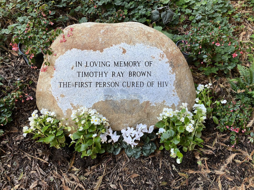 The memorial boulder for Timothy Ray Brown at the AIDS Memorial Grove in San Francisco