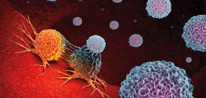 immune cells attack cancer cells