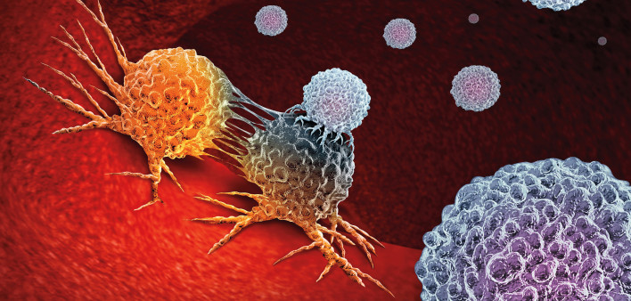 Cancer Immunotherapy as a human immune system therapy concept as a biomedical or biomedicine oncology treatment using the natural T cell fighting properties of the body as a 3D render.