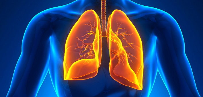 illustration lungs male figure