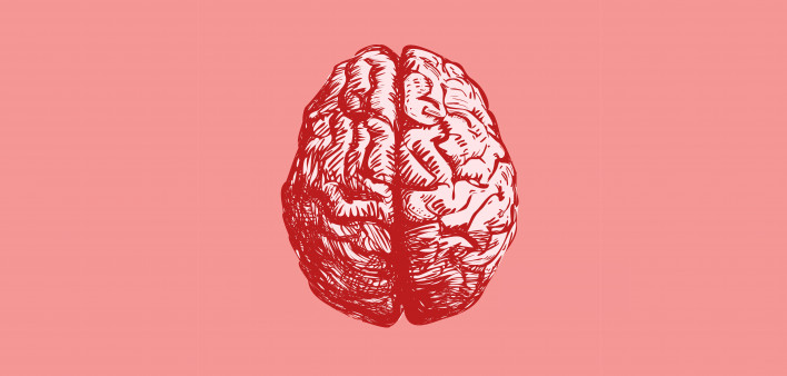 Brain