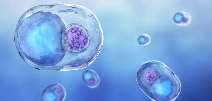 Detailed Chlamydia Cell