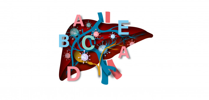 illustration of liver with letters