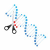 illustration of scissors cutting dna
