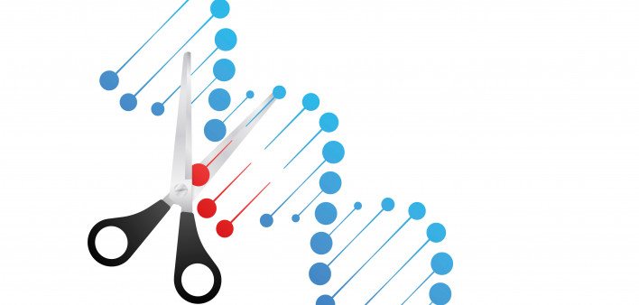illustration of scissors cutting dna