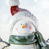Happy Snowman photo illustration