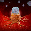CAR-T therapy in which modified T cells (illustrated in white) attack cancer