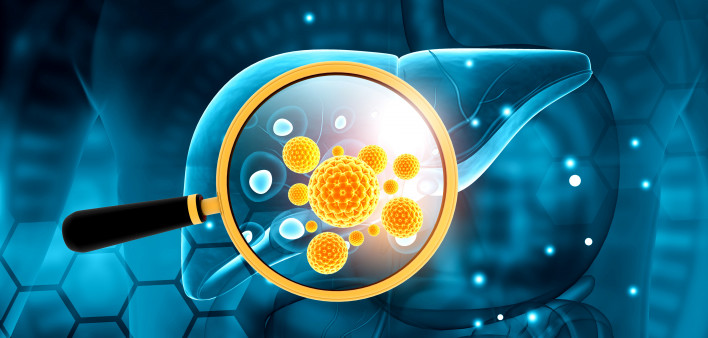 liver, virus, hepatitis B, hepatitis C Human liver