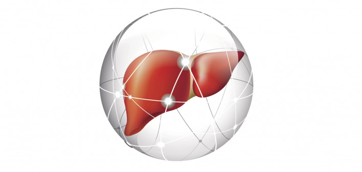 liver, liver cancer