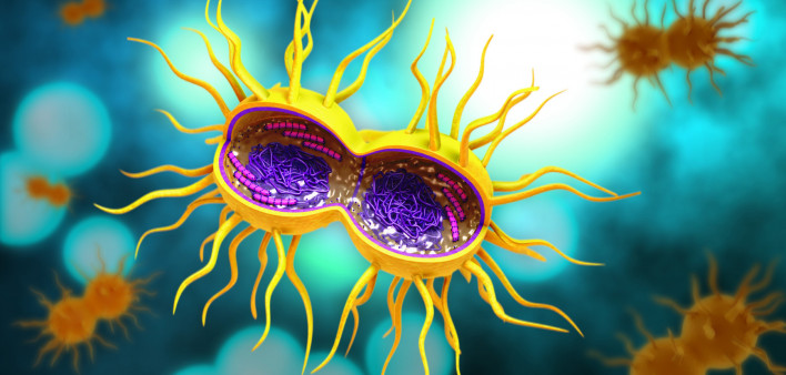 gonorrhea