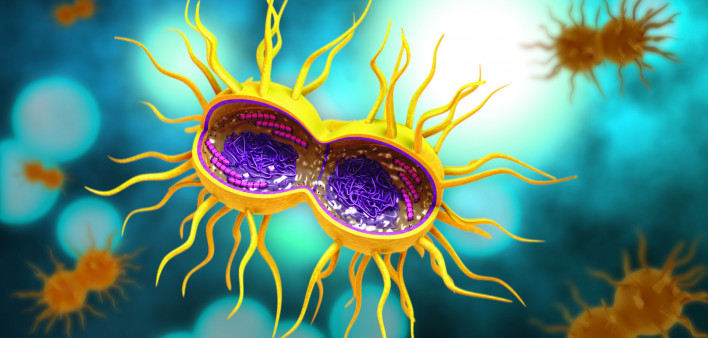 gonorrhea