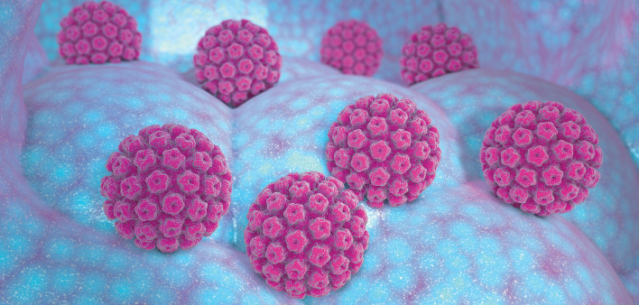 HPV Virus illustration