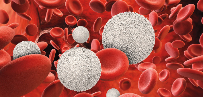 3d rendering white blood cells with red blood cells