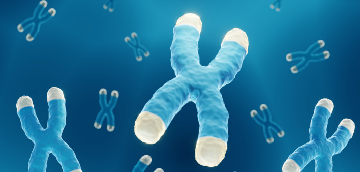 Chromosomes with highlighted telomeres