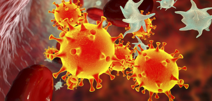 COVID-19 virus particles and activated platelets in blood stream stock photo Coronavirus, Hypertensive, Illustration, Lung, Artery