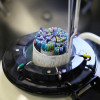 At an infertility treatment clinic, an embryologist pulls out straws with frozen embryos and egg cells.