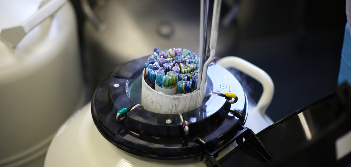 At an infertility treatment clinic, an embryologist pulls out straws with frozen embryos and egg cells.