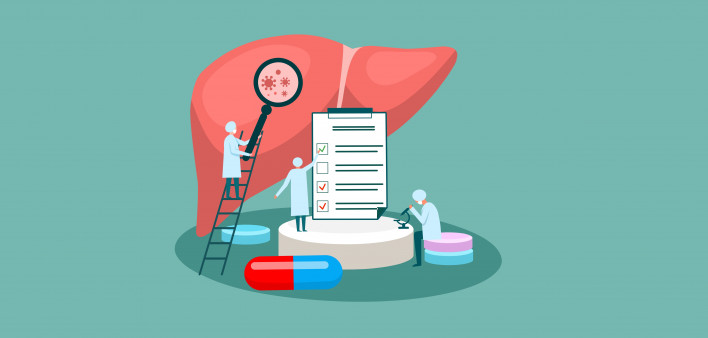 tiny doctor character diagnoses liver. vector illustration.