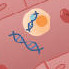By looking for fragments of DNA that have escaped from tumors into the bloodstream, or circulating tumor DNA (ctDNA), doctors may be able to identify which patients with colorectal cancer need chemotherapy after surgery.