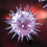Epstein-Barr virus illustration