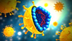 hepatitis C, hep C, HCV