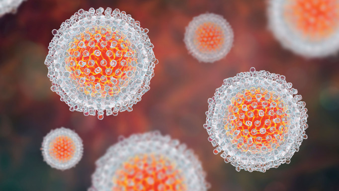 Hepatitis C virus model, 3D illustration.