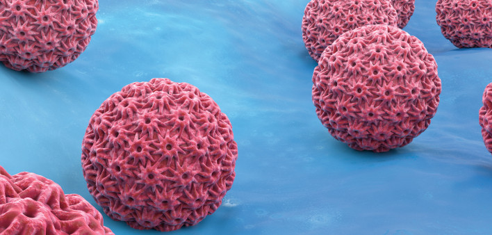 HPV