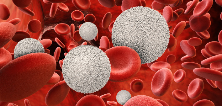 White blood cells with red blood cells