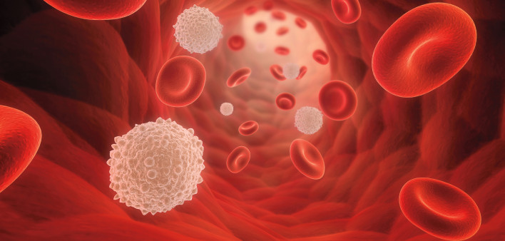 illustrarion of blood cells