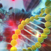 Cancer treatment