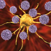 T cells attack a cancer cell