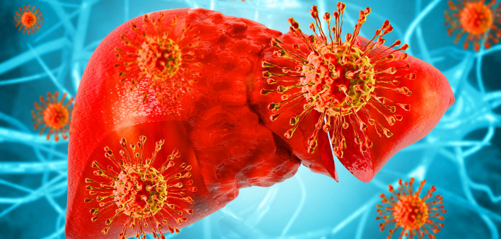 illustration liver and Hep C virus